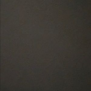 Meet your Posher, Abigail